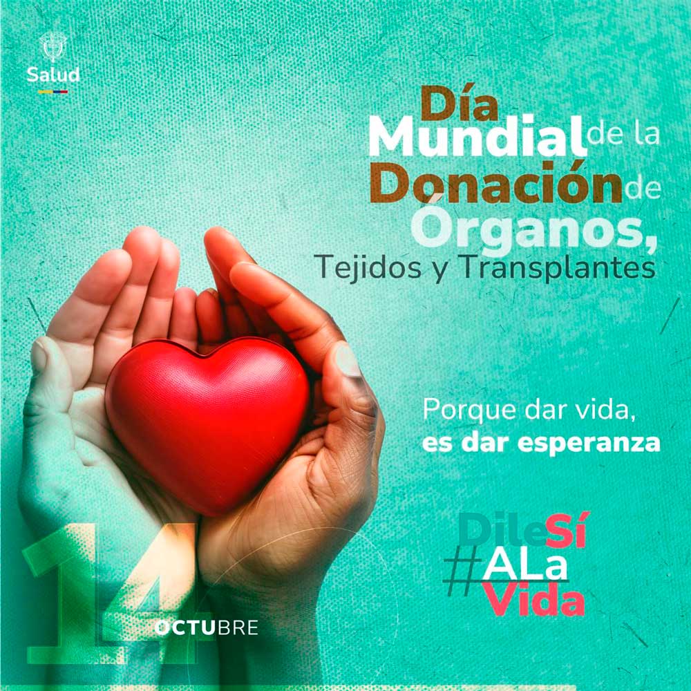 organos-SALUD